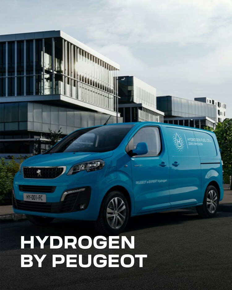 HYDROGEN FUEL CELL